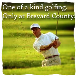 Brevard Golf image