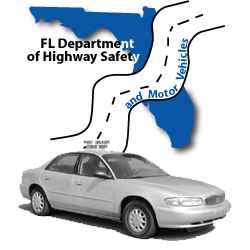 FL department of motor vehicles photo